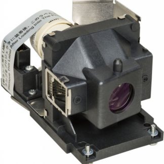 EcoLAP - RICOH 512822 Ersatzlampe