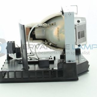 EcoLAP - RICOH 308930 Ersatzlampe