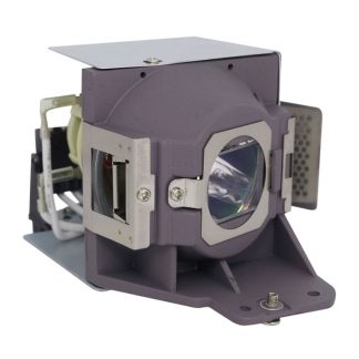 HyBrid UHP - BenQ 5J.JDV05.001 - Philips Lampe mit Gehäuse 5JJDV05001