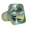 Philips UHP Beamerlampe f. Optoma BL-FU190F ohne Gehäuse PQ684-2400
