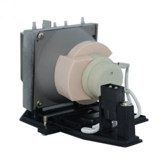 EcoLAP - Optoma SP.8TU01GC01 Ersatzlampe / Modul BL-FP240C