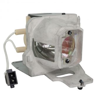 EcoLAP - Acer MC.JPC11.002 Ersatzlampe