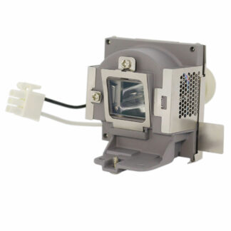 HyBrid UHP - BenQ 5J.JKG05.001 - Philips Lampe mit Gehäuse 5JJKG05001