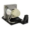 EcoLAP – Optoma SP.8VC01GC01 Ersatzlampe / Modul BL-FU190E