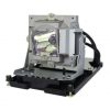 EcoLAP – BenQ 5J.J8805.001 Ersatzlampe / Modul 5JJ8805001