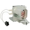 EcoLAP – Acer MC.JPH11.001 Ersatzlampe