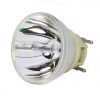 Philips UHP Beamerlampe f. Optoma BL-FU240B ohne Gehäuse SP.7AF01GC01