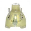 Philips UHP Beamerlampe f. Canon LX-LP02 ohne Gehäuse 1035C001