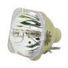 Philips UHP Beamerlampe f. Barco R9832775 ohne Gehäuse R9832775