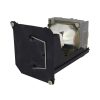EcoLAP – Eiki 23040043 Ersatzlampe / Modul 23040043
