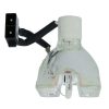Phoenix SHP Beamerlampe f. Toshiba TLP-LW11 ohne Halterung – Original Ersatzlampe