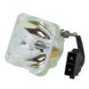 Phoenix SHP Beamerlampe f. Toshiba TLP-LW11 ohne Halterung – Original Ersatzlampe