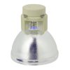 Osram P-VIP Beamerlampe f. Optoma SP.7C601GC01 ohne Gehäuse BL-FU220E