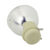 Osram P-VIP Beamerlampe f. Optoma SP.7C601GC01 ohne Gehäuse BL-FU220E