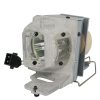 EcoLAP – Optoma SP.7D101GC01 Ersatzlampe / Modul BL-FU200D