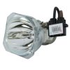 Phoenix SHP Beamerlampe f. Toshiba TLP-LV7 ohne Halterung – Original Ersatzlampe