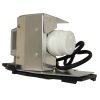 EcoLAP – BenQ 5J.J3L05.001 Ersatzlampe / Modul 5JJ3L05001