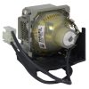 HyBrid UHP BenQ 5J.J2C01.001 Philips Lampe mit Gehäuse 5JJ2C01001