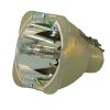 Philips UHP Beamerlampe f. Optoma SP.89601.001 ohne Gehäuse BL-FS300A