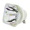 Ushio NSH Beamerlampe f. Nec NP23LP ohne Gehäuse 100013284