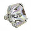Ushio NSH Beamerlampe f. Sanyo POA-LMP47 ohne Gehäuse 610-297-3891