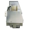 HyBrid UHP – BenQ 5J.J6N05.001 – Philips Lampe mit Gehäuse 5JJ6N05001