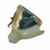 Philips UHP Beamerlampe f. InFocus SP-LAMP-017 ohne Gehäuse SPLAMP017