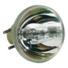 Philips UHP Beamerlampe f. BenQ 5J.JKV05.001 ohne Gehäuse