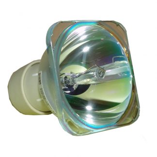 Philips UHP Beamerlampe f. Optoma BL-FU195C ohne Gehäuse SP.72J02GC01