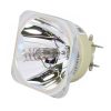 Philips UHP Beamerlampe f. Hitachi DT02011 ohne Gehäuse DT-02011