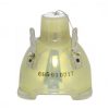 Philips UHP Beamerlampe f. BenQ 5J.JDP05.001 ohne Gehäuse 5JJDP05001