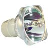 Philips UHP Beamerlampe f. Nec NP30LP ohne Gehäuse 100013543