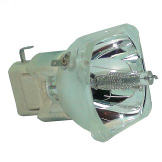 Osram P-VIP Beamerlampe f. Optoma BL-FP195C ohne Gehäuse BLFP195C