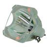 Philips UHP Beamerlampe f. Planar 151-0005 ohne Gehäuse 150-0142-01