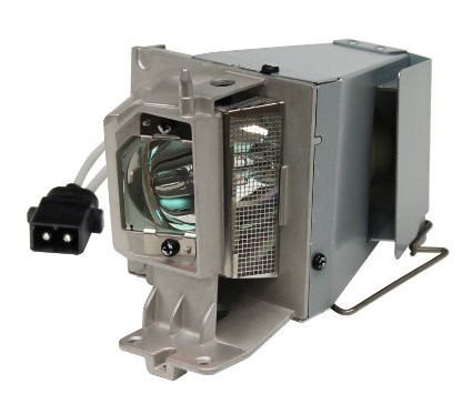 NEC NP36LP – HYBRID-Beamerlampen-MODUL 100014091