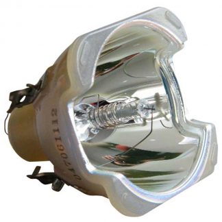 Philips UHP Beamerlampe f. Acer EC.J2901.001 ohne Gehäuse ECJ2901001