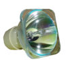 Philips UHP Beamerlampe f. Nec NP40LP ohne Gehäuse 100014341