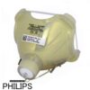 Philips UHP Beamerlampe f. Sony LMP-H210 ohne Gehäuse LMPH210
