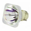 Philips UHP Beamerlampe f. Optoma BL-FU260B ohne Gehäuse SP.72701GC01