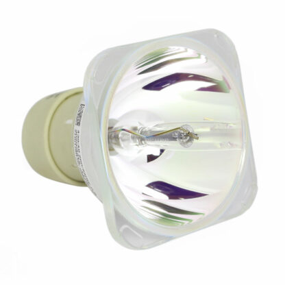 Philips UHP Beamerlampe f. Optoma BL-FU260B ohne Gehäuse SP.72701GC01
