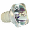 Philips UHP Beamerlampe f. RICOH 512822 ohne Gehäuse TYPE17